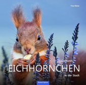 Buch-Cover: Leben mit Eichhörnchen in der Stadt